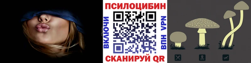 купить наркоту  Мензелинск  Галлюциногенные грибы GOLDEN TEACHER 